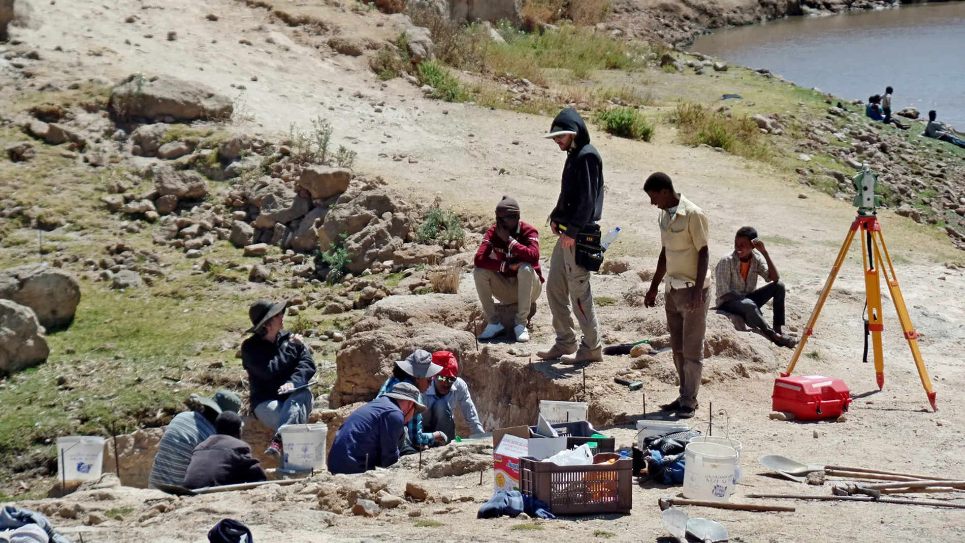 Encuentran al unico fosil conocido del lobo etiope