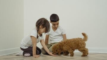 Una niño y una niña acarician a su mascota