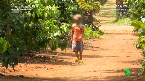 Niños en el campo en Vietnam