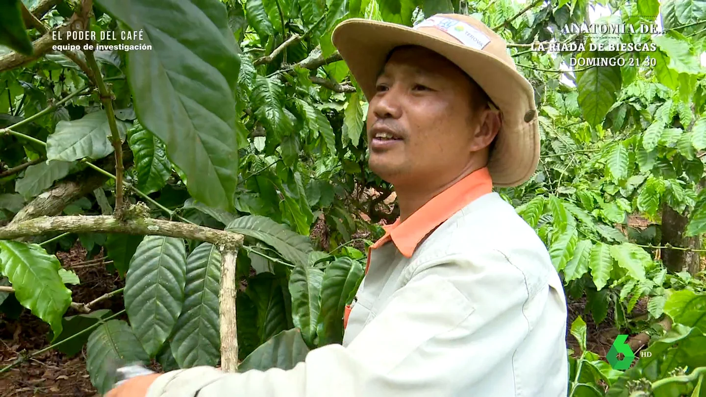 Trabajador del café Trabajador del café