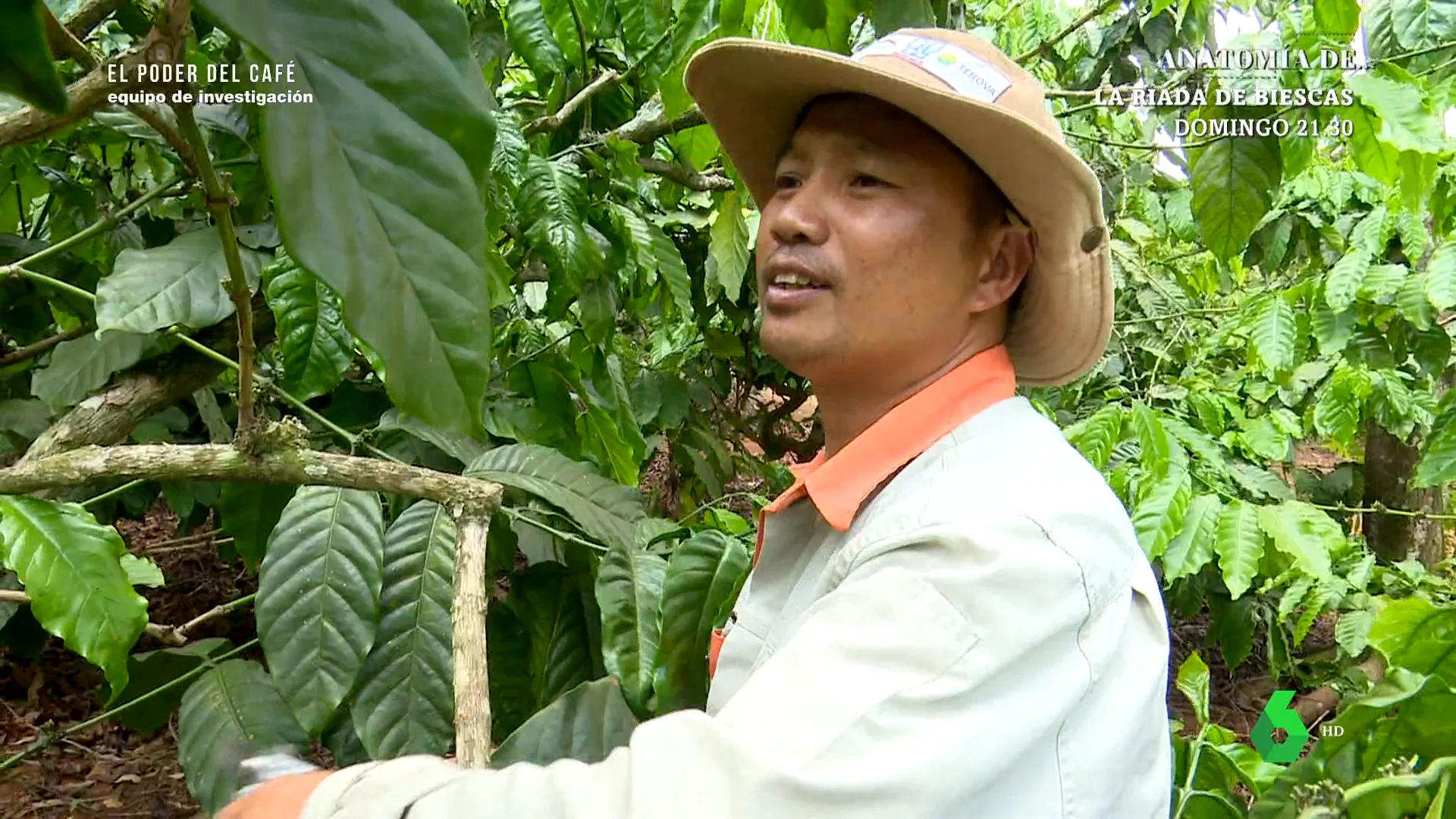 Trabajador del café