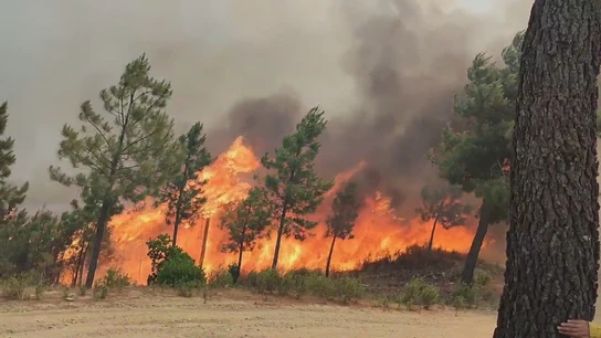 El incendio de Las Hurdes avanza descontrolado y obliga a desalojar a 700 vecinos El incendio de Las Hurdes avanza descontrolado y obliga a desalojar a 700 vecinos