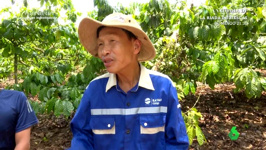 Productor del café de Vietnam Productor del café de Vietnam