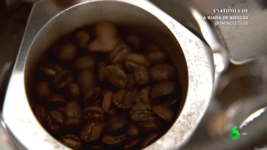 El descubrimiento de los efectos del café hace 8 siglos: las cabras tenían más energía al comer unas bayas El descubrimiento de los efectos del café hace 8 siglos: las cabras tenían más energía al comer unas bayas