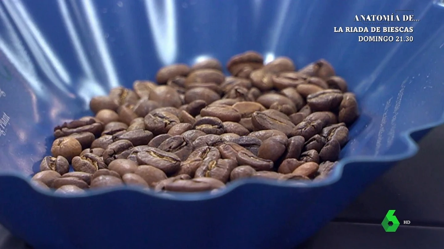 Café en grano Café en grano