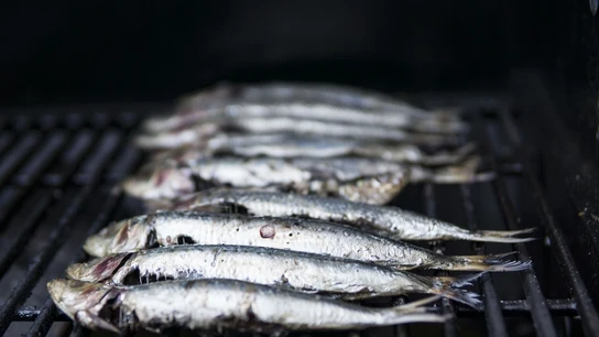 Cuáles son los pescados blancos y cuáles son los azules  Cuáles son los pescados blancos y cuáles son los azules