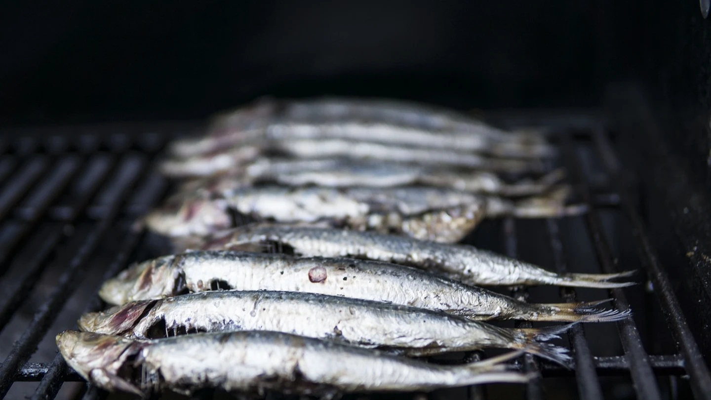 Cuáles son los pescados blancos y cuáles son los azules Cuáles son los pescados blancos y cuáles son los azules