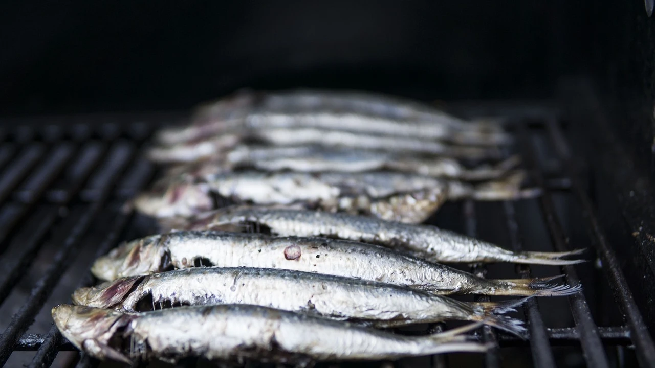  Cuáles son los pescados blancos y cuáles son los azules