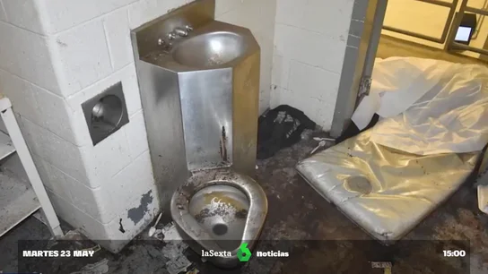 comido por los chinches comido por los chinches