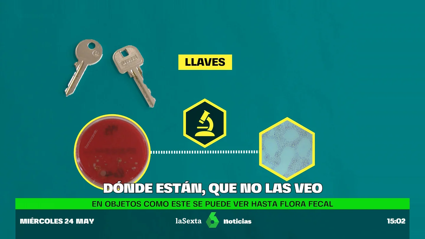 Bacterias Bacterias