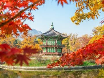 15 cosas que no puedes dejar de hacer en un viaje a Seúl