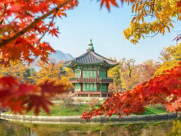 15 cosas que no puedes dejar de hacer en un viaje a Seúl 15 cosas que no puedes dejar de hacer en un viaje a Seúl