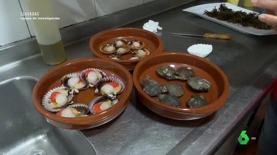 ¿Es zamburiña de verdad? Un hostelero gallego da las claves para que no nos 'cuelen' vieira del Pacífico o volandeira ¿Es zamburiña de verdad? Un hostelero gallego da las claves para que no nos 'cuelen' vieira del Pacífico o volandeira