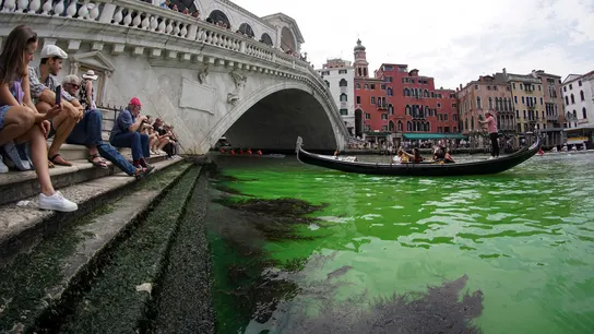 El agua del Gran Canal de Venecia se tiñe de un misterioso verde fluorescente. El agua del Gran Canal de Venecia se tiñe de un misterioso verde fluorescente.