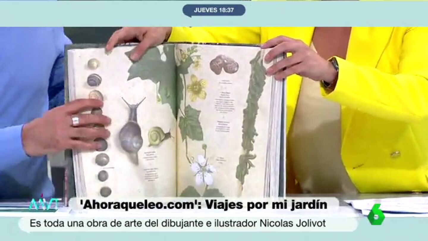 'Viajes por mi jardín', de Nicolas Jolivot, recomendado en Más Vale Tarde 'Viajes por mi jardín', de Nicolas Jolivot, recomendado en Más Vale Tarde