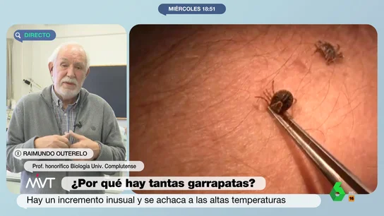 El remedio casero de un profesor de Biología para las picaduras de garrapata Raimundo Outerelo, profesor honorífico de Biología de la Universidad Complutense, analiza en Más Vale Tarde las posibles causas del aumento del número de garrapatas. En este vídeo también explica qué hacer en el caso de nos pique una de ellas.