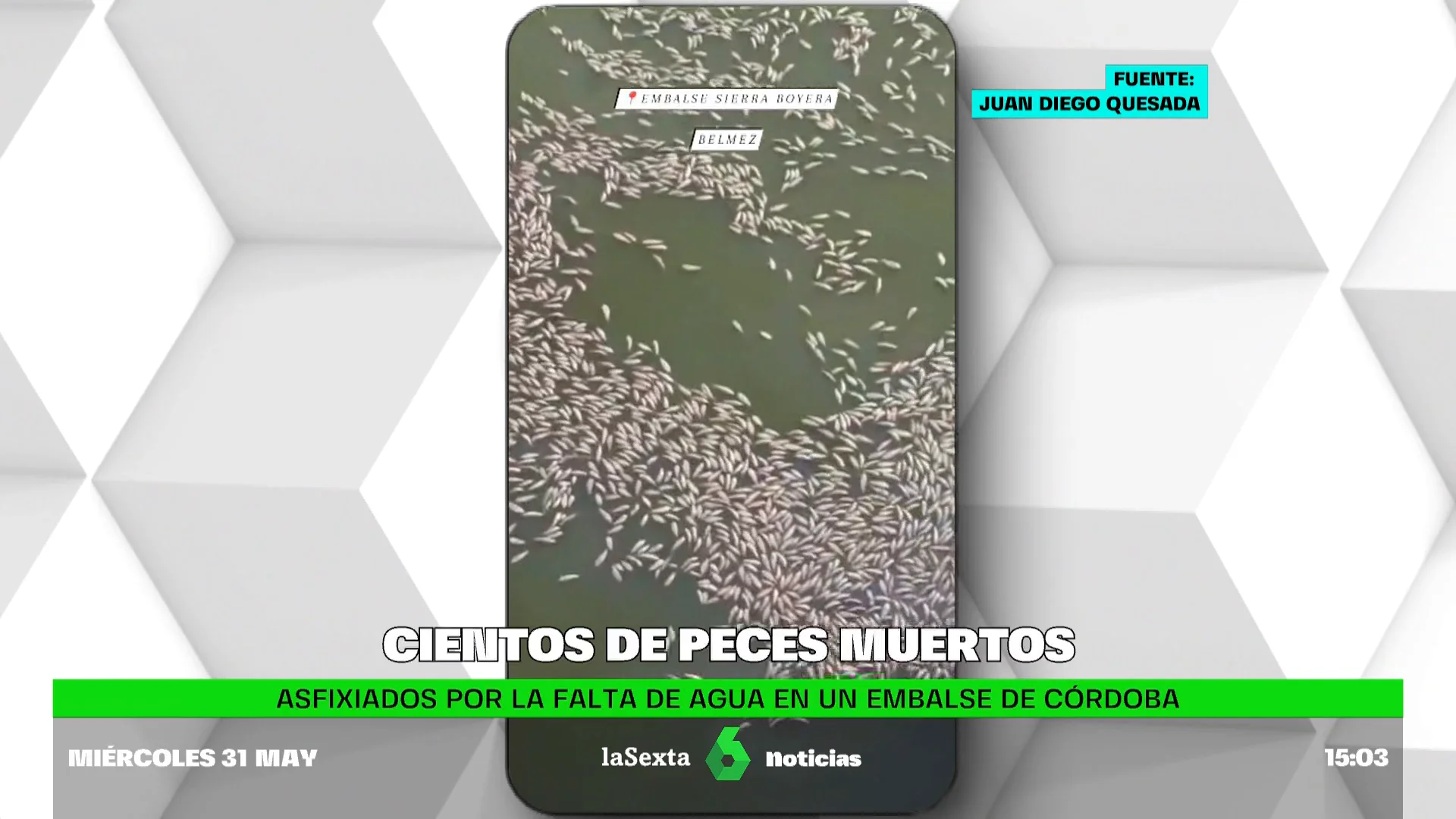 cientos de peces muertos