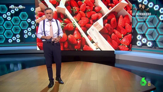 Wyoming, del boicot a la fresa de Huelva: "En Europa cuesta entender que una administración pública favorezca la desecación de Doñana" Wyoming, del boicot a la fresa de Huelva: "En Europa cuesta entender que una administración pública favorezca la desecación de Doñana"