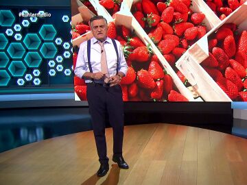 Wyoming, del boicot a la fresa de Huelva: "En Europa cuesta entender que una administración pública favorezca la desecación de Doñana"