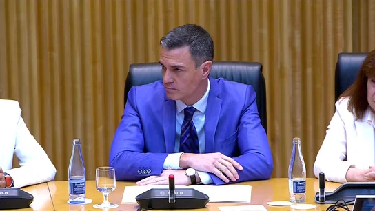 Pedro Sánchez, en el Congreso Pedro Sánchez, en el Congreso
