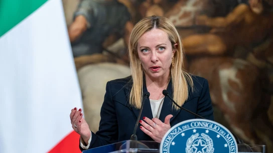 Italia da el primer paso para penalizar el uso del "vientre de alquiler" en el extranjero Italia da el primer paso para penalizar el uso del "vientre de alquiler" en el extranjero