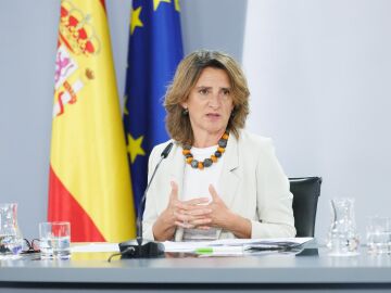 Ribera descarta comparecer por Doñana y propone a PP y Vox ceder su puesto a Delibes: "Seguro que aprenden más"