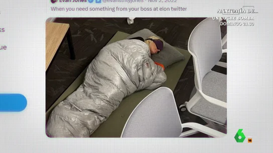 Trabajadores durmiendo en las oficinas, subasta de muebles... Los chocantes cambios en Twitter con Elon Musk Trabajadores durmiendo en las oficinas, subasta de muebles... Los chocantes cambios en Twitter con Elon Musk