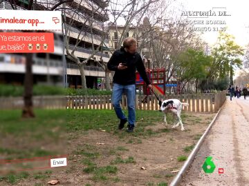 Ligar gracias a tu perro o gato: la propuesta de una app de citas centrada en los amantes de las mascotas