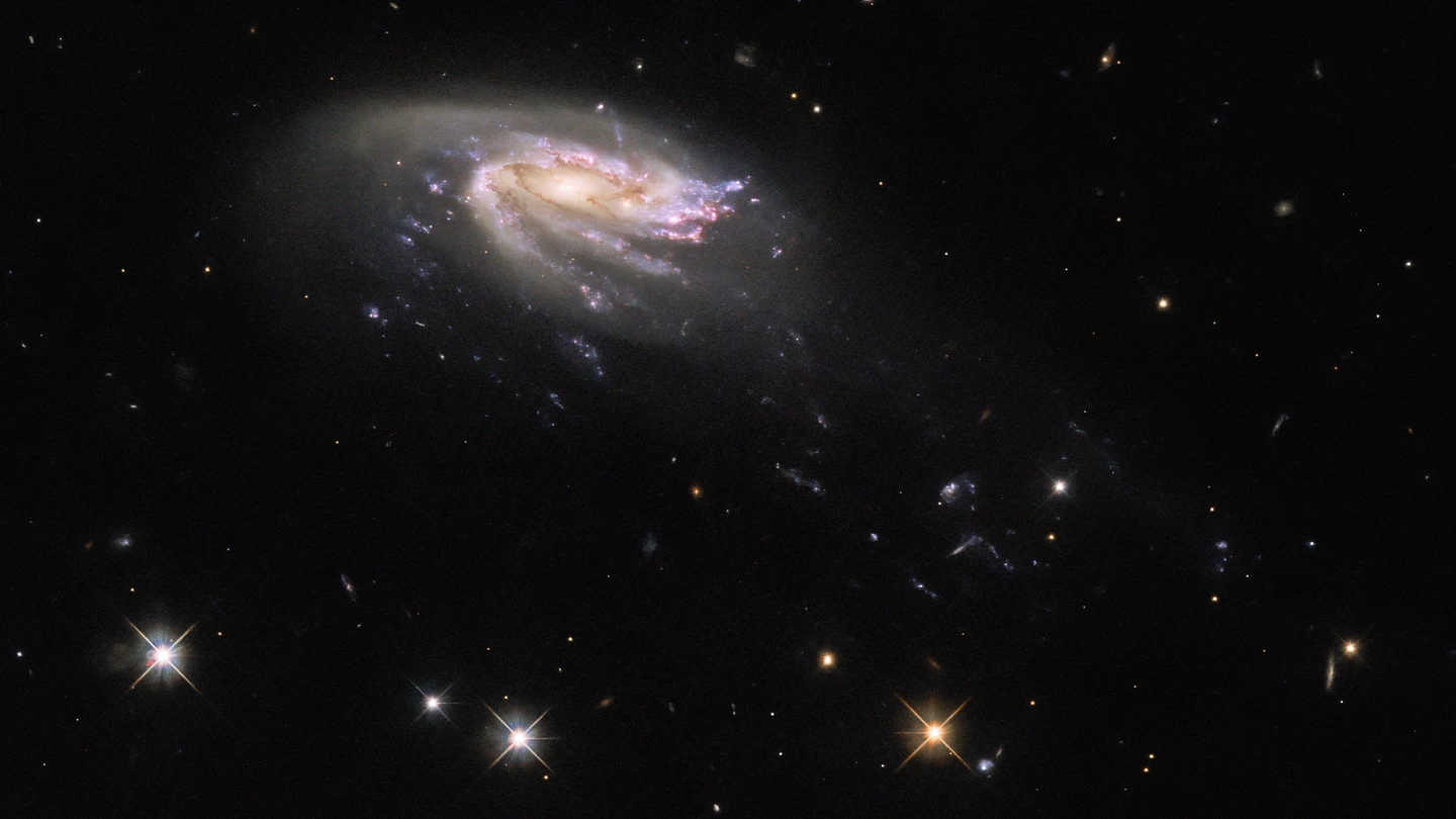 El telescopio Hubble capta una impactante imagen de una 'galaxia medusa' en un abismo cósmico El telescopio Hubble capta una impactante imagen de una 'galaxia medusa' en un abismo cósmico