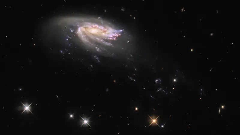 El telescopio Hubble capta una impactante imagen de una 'galaxia medusa' en un abismo cósmico