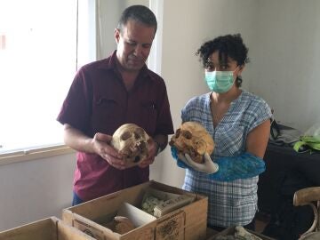 Dos arqueólogos sujetan cráneos