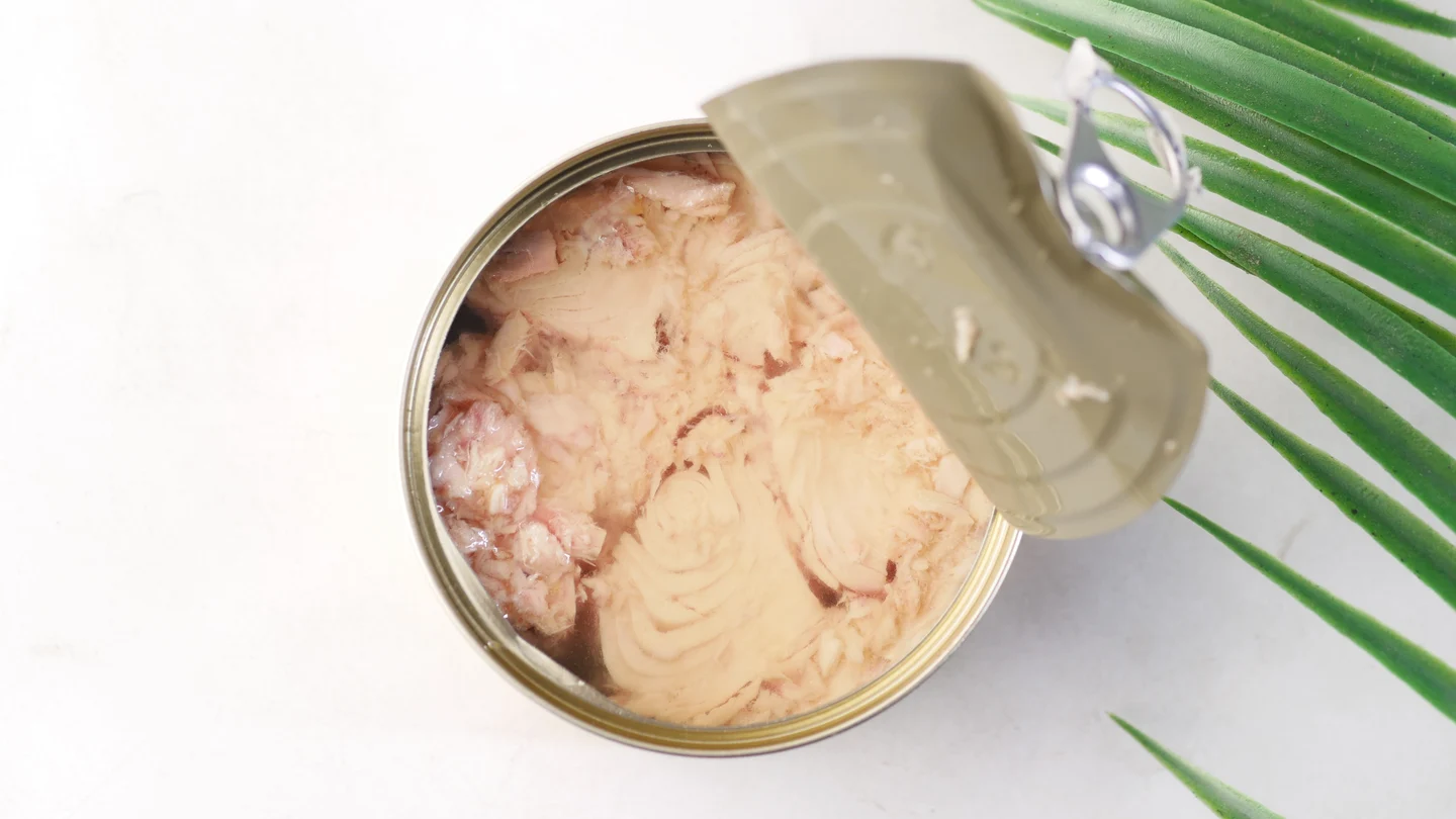 Atún, mejillones, berberechos.... estas son las latas o conservas de pescado que puedes tomar a la semana Atún, mejillones, berberechos.... estas son las latas o conservas de pescado que puedes tomar a la semana