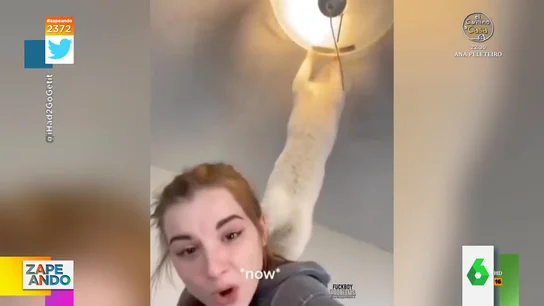 Un gato se golpea contra el aire acondicionado y se hace este corte de pelo Un gato se golpea contra el aire acondicionado y se hace este corte de pelo