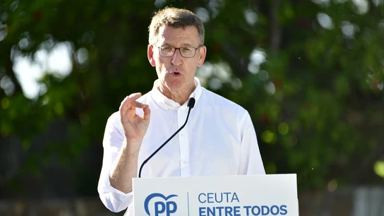 El presidente del Partido Popular, Alberto Núñez Feijóo. El presidente del Partido Popular, Alberto Núñez Feijóo.