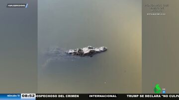 Un caimán siembra el pánico en Toledo: aparece en una finca y ataca a uno de sus captores
