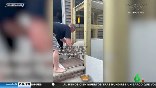 Un hombre fabrica un ascensor casero para su perro de 17 años que no puede usar las escaleras Un hombre fabrica un ascensor casero para su perro de 17 años que no puede usar las escaleras