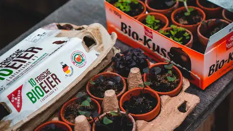 Crea un huerto en casa Crea un huerto en casa