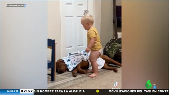El tierno vídeo viral de un bebé que arropa a su perro y le desea buenas noches antes de irse a dormir El tierno vídeo viral de un bebé que arropa a su perro y le desea buenas noches antes de irse a dormir