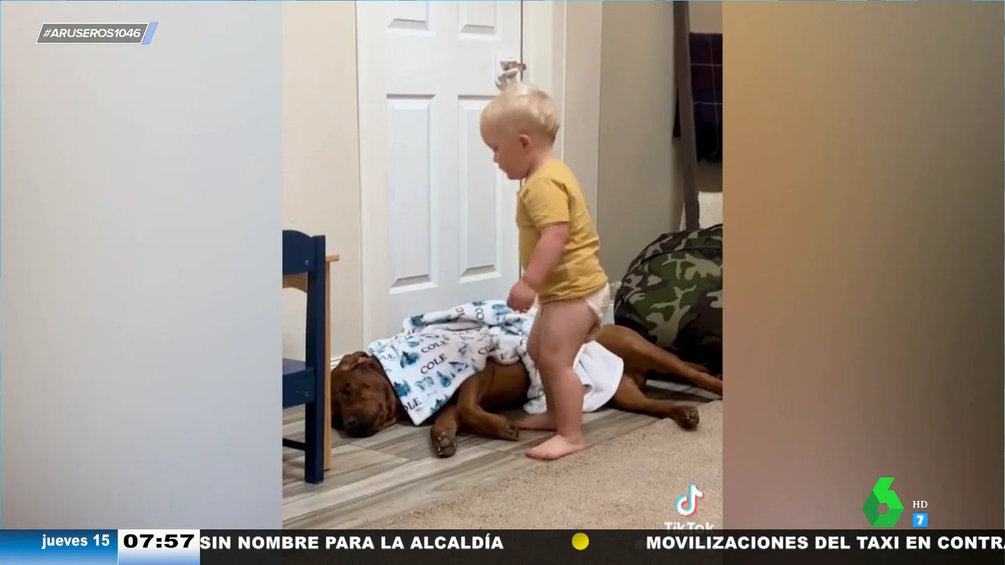 El tierno vídeo viral de un bebé que arropa a su perro y le desea buenas noches antes de irse a dormir El tierno vídeo viral de un bebé que arropa a su perro y le desea buenas noches antes de irse a dormir