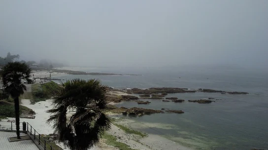 Estas son las 48 playas con Bandera Negra de Ecologistas en Acción por vertidos, contaminación o basura marina Estas son las 48 playas con Bandera Negra de Ecologistas en Acción por vertidos, contaminación o basura marina