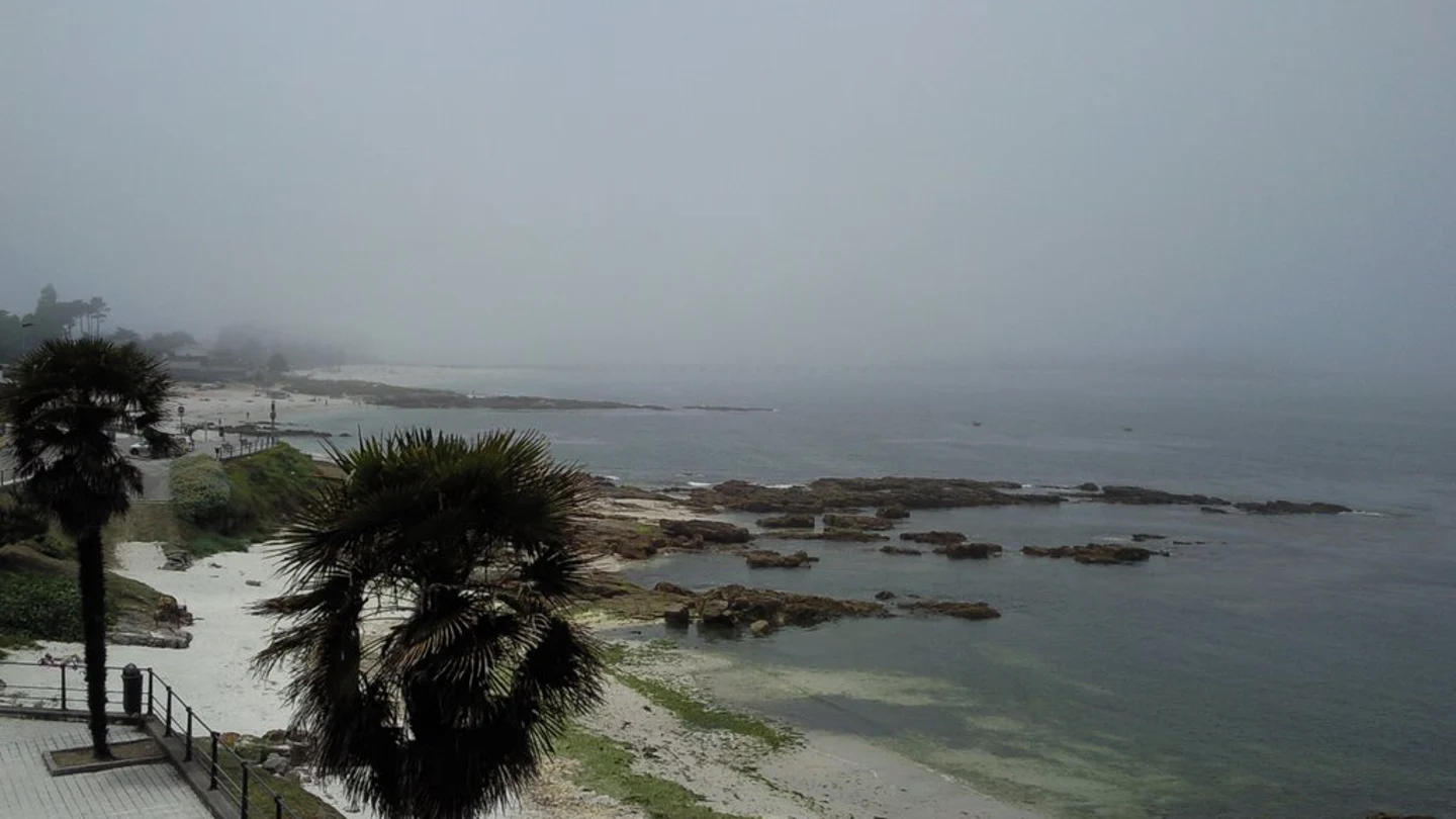 Estas son las 48 playas con Bandera Negra de Ecologistas en Acción por vertidos, contaminación o basura marina Estas son las 48 playas con Bandera Negra de Ecologistas en Acción por vertidos, contaminación o basura marina