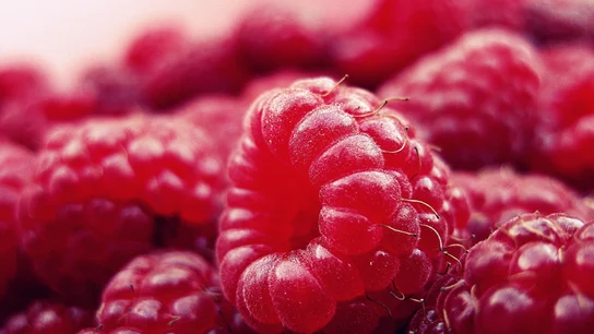 Cuáles son las frutas y verduras de temporada de agosto Cuáles son las frutas y verduras de temporada de agosto