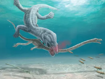 Tanystropheus mientras un depredador secciona su cuello Tanystropheus mientras un depredador secciona su cuello