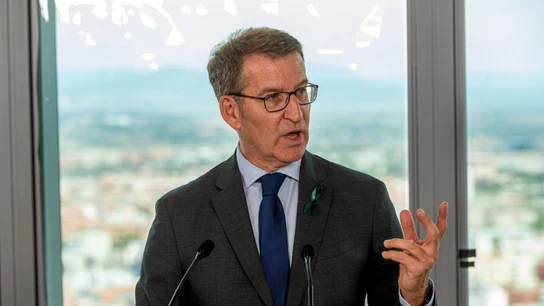 El líder del PP, Alberto Núñez Feijóo El líder del PP, Alberto Núñez Feijóo
