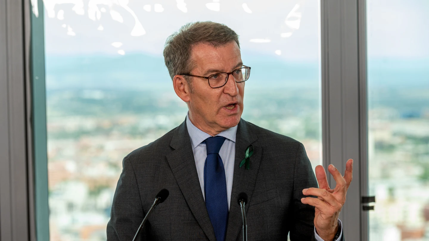 El líder del PP, Alberto Núñez Feijóo El líder del PP, Alberto Núñez Feijóo