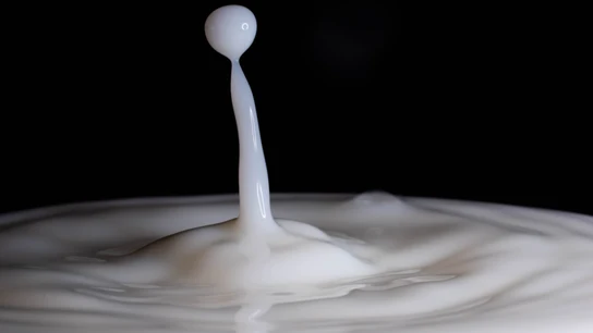 Cómo saber si soy intolerante a la lactosa Cómo saber si soy intolerante a la lactosa