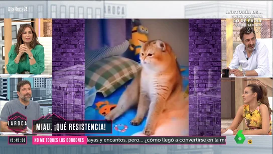 Nacho García gato goma Nacho García gato goma