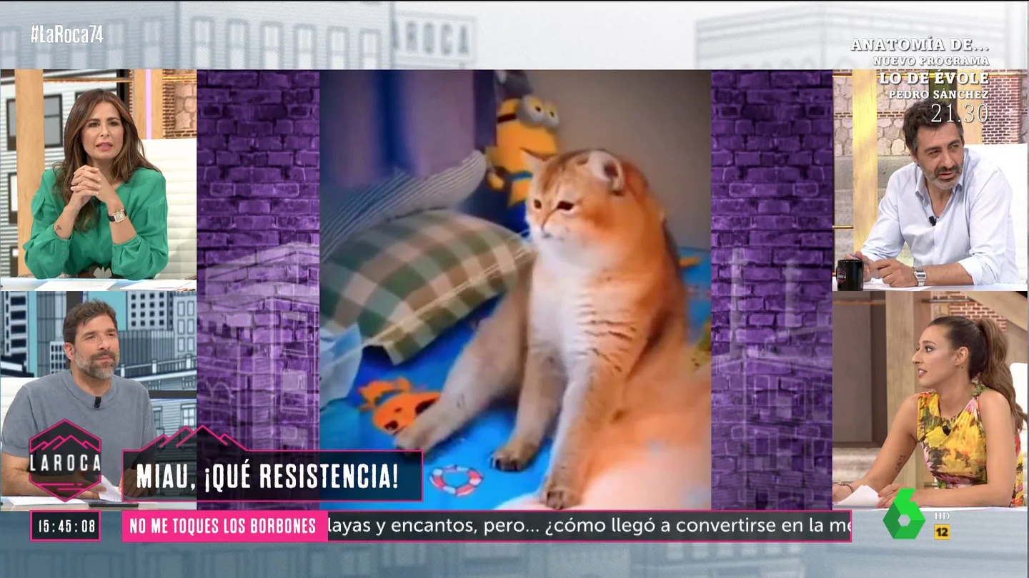 Nacho García gato goma Nacho García gato goma