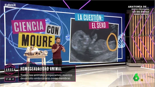 "Todos hemos sido chicas durante nuestro desarrollo embrionario": Ricardo Moure aclara que ocurre en las 11 primeras semanas "Todos hemos sido chicas durante nuestro desarrollo embrionario": Ricardo Moure aclara que ocurre en las 11 primeras semanas