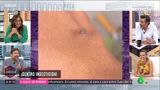 Nacho, masculinidad y mosquito Nacho, masculinidad y mosquito